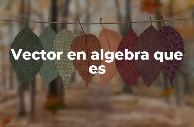 Vector en Algebra que es