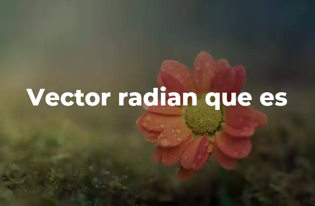 Vector Radian que es