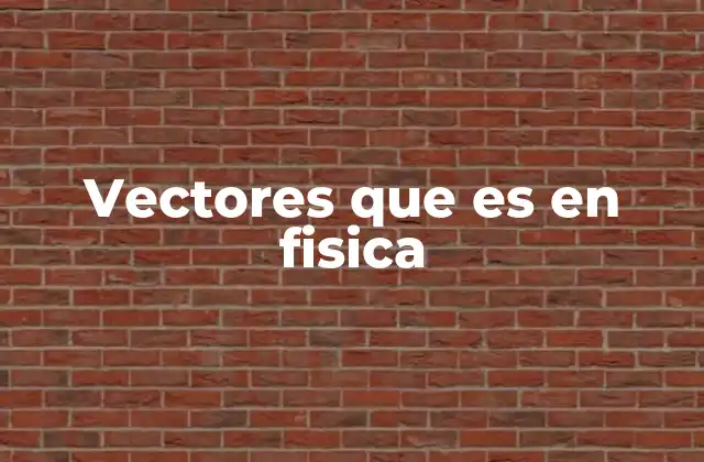 Vectores que es en Fisica
