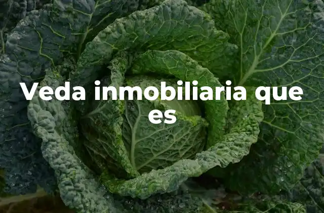 Veda Inmobiliaria que es