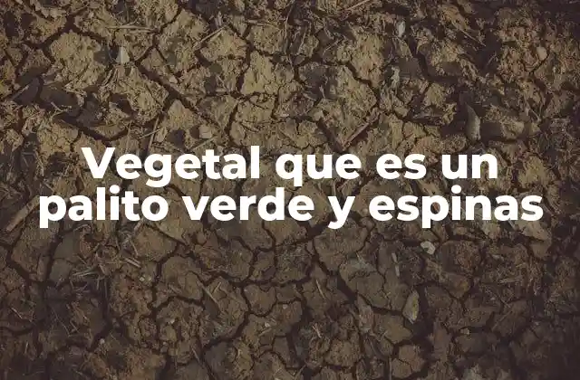Características de esta planta similar a un palito verde con espinas