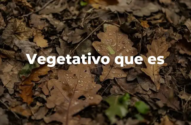 Vegetativo que es