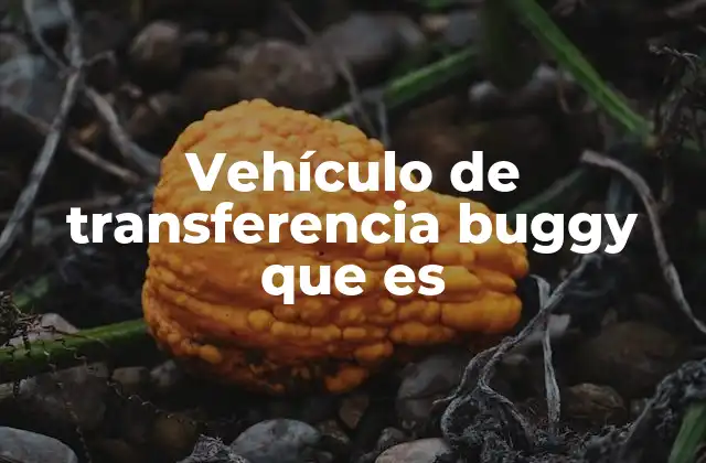 Características y funciones de los vehículos de transferencia buggy