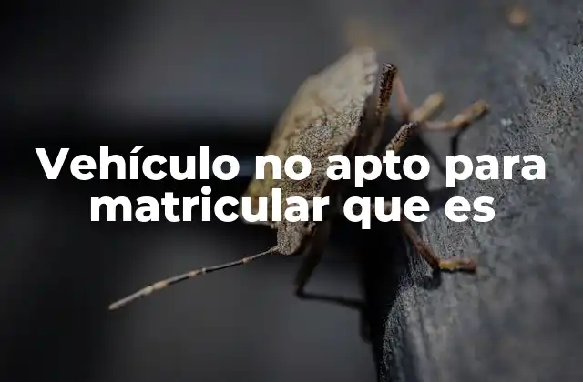 Causas comunes de un vehículo no apto para matricular