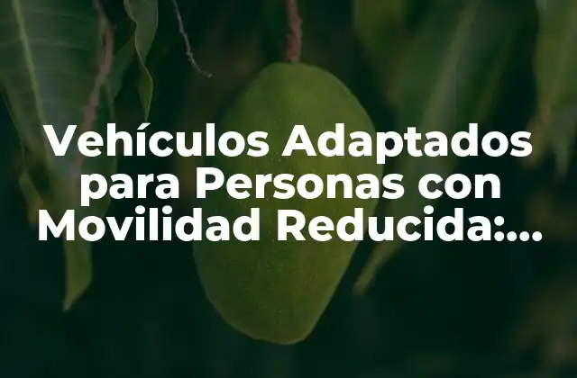 Vehículos Adaptados para Personas con Movilidad Reducida: Guía Completa