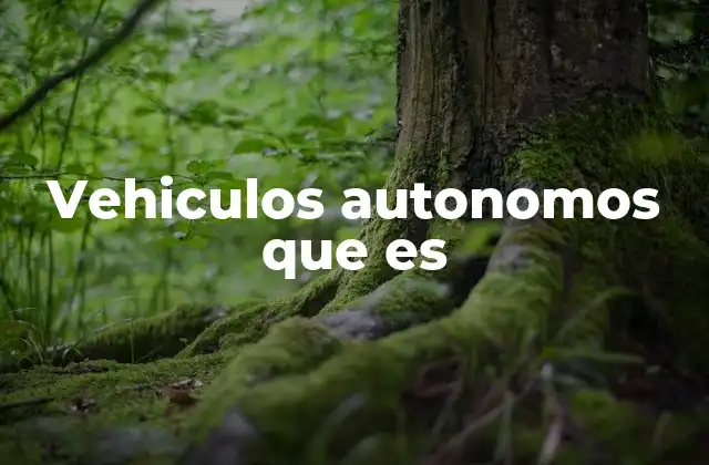 Vehiculos Autonomos que es