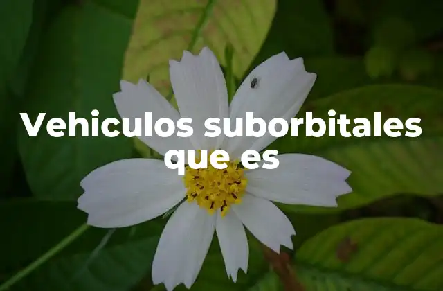 Vehiculos Suborbitales que es