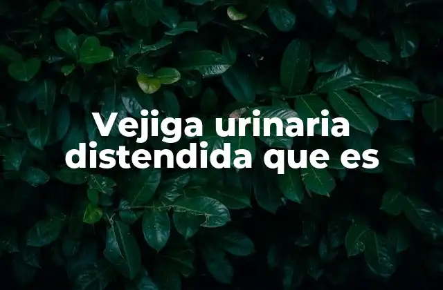 Funcionamiento anormal del sistema urinario