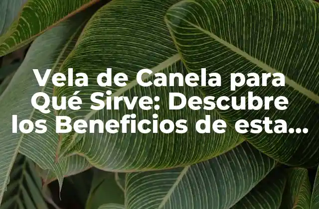 Vela de Canela para Qué Sirve: Descubre los Beneficios de Esta Herramienta Natural