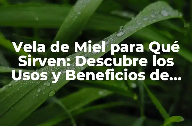 Vela de Miel para Qué Sirven: Descubre los Usos y Beneficios de las Velas de Miel