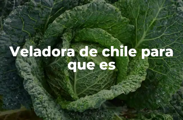 Veladora de Chile para que es