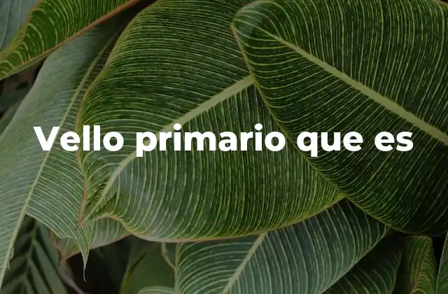 Vello Primario que es