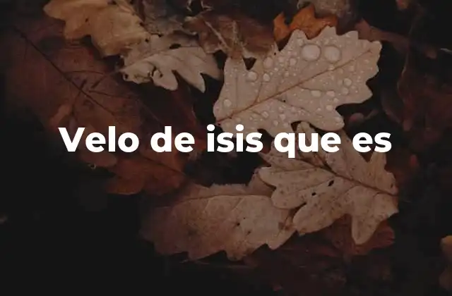 Velo de Isis que es