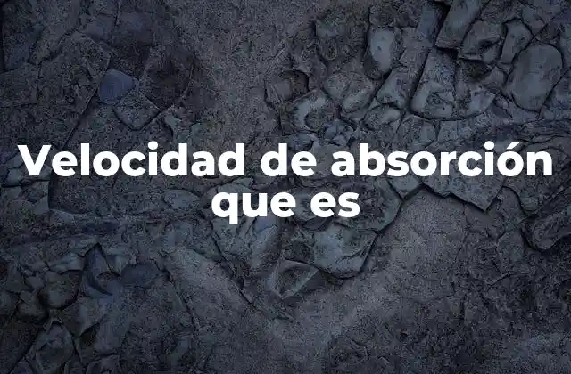 Factores que influyen en la velocidad de absorción