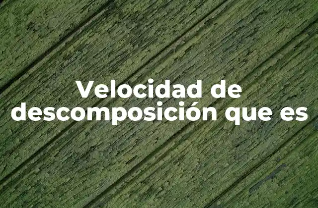 Velocidad de Descomposición que es