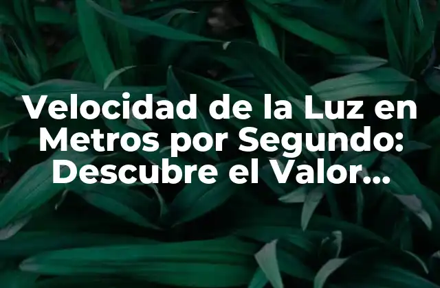 Velocidad de la Luz en Metros por Segundo: Descubre el Valor Exacto