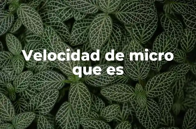 Velocidad de Micro que es