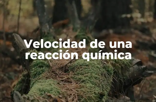 Velocidad de una Reacción Química