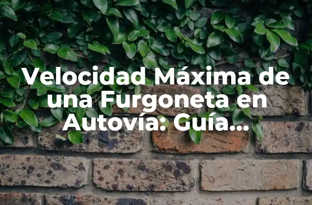 Velocidad Máxima de una Furgoneta en Autovía: Guía Completa