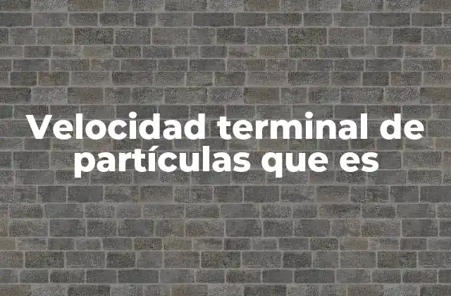 Velocidad Terminal de Partículas que es