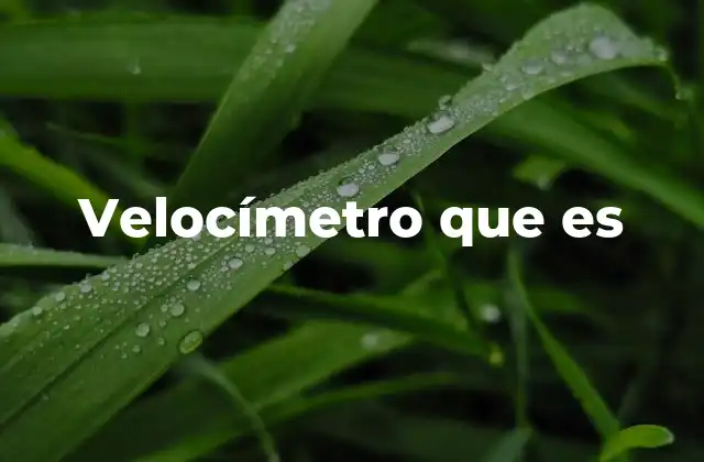 La importancia del velocímetro en la conducción