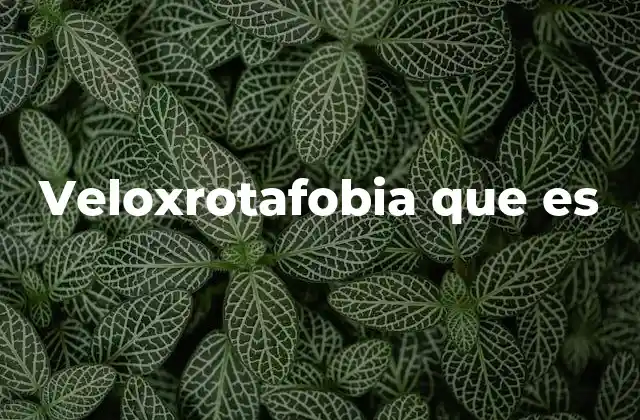 Veloxrotafobia que es