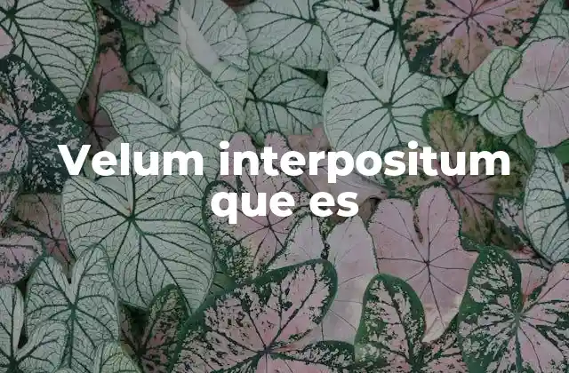 Velum Interpositum que es