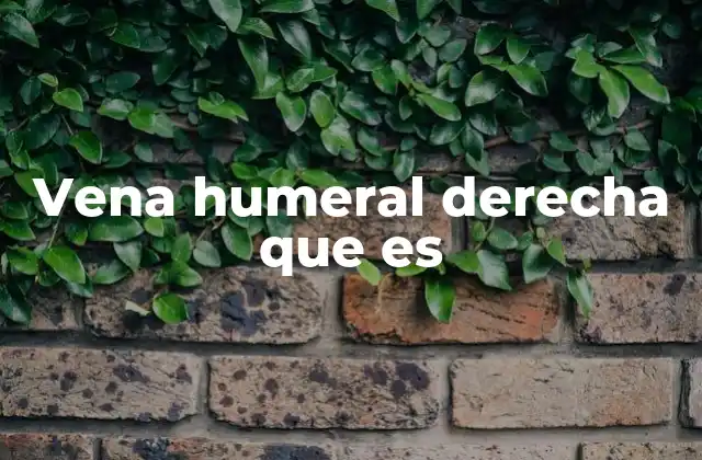 Vena Humeral Derecha que es