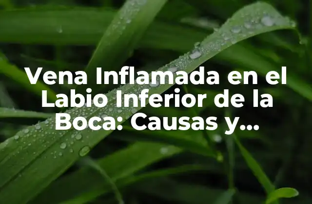 Vena Inflamada en el Labio Inferior de la Boca: Causas y Tratamientos