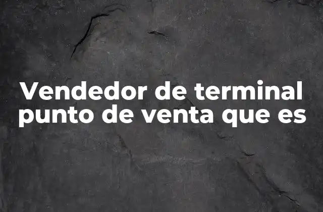 Vendedor de Terminal Punto de Venta que es