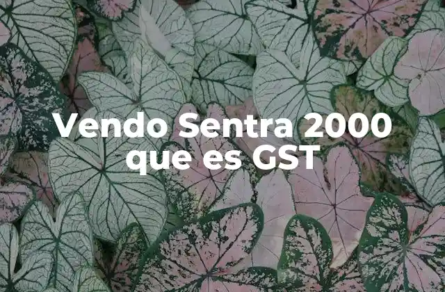 Vendo Sentra 2000 que es Gst