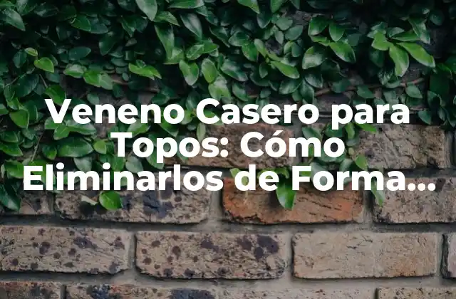 Veneno Casero para Topos: Cómo Eliminarlos de Forma Efectiva 2 ¿Por qué los Topos son un Problema en los Jardines?