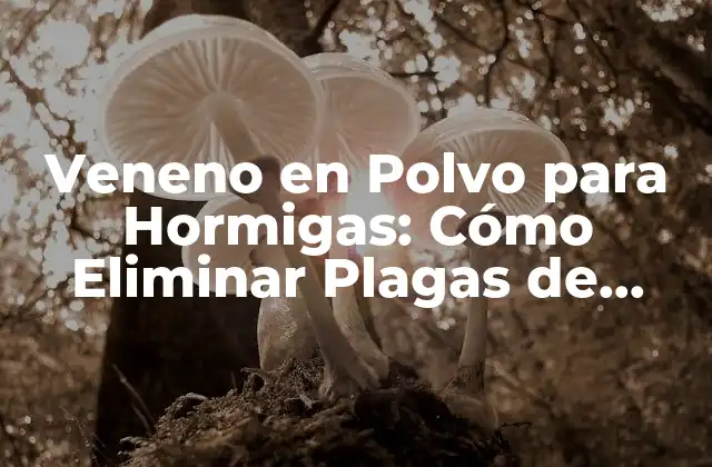 Veneno en Polvo para Hormigas: Cómo Eliminar Plagas de Forma Efectiva