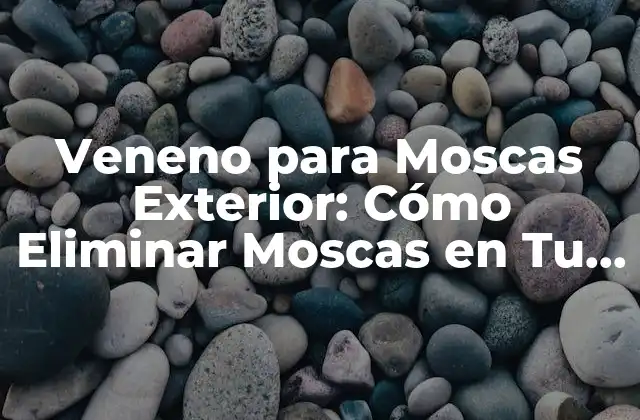 Veneno para Moscas Exterior: Cómo Eliminar Moscas en Tu Jardín o Patio