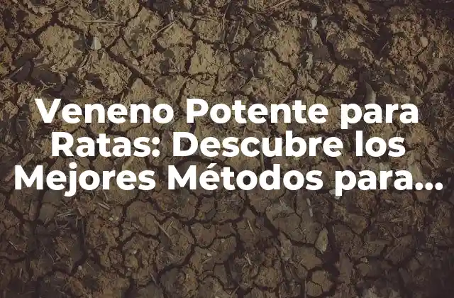Veneno Potente para Ratas: Descubre los Mejores Métodos para Eliminar Plagas