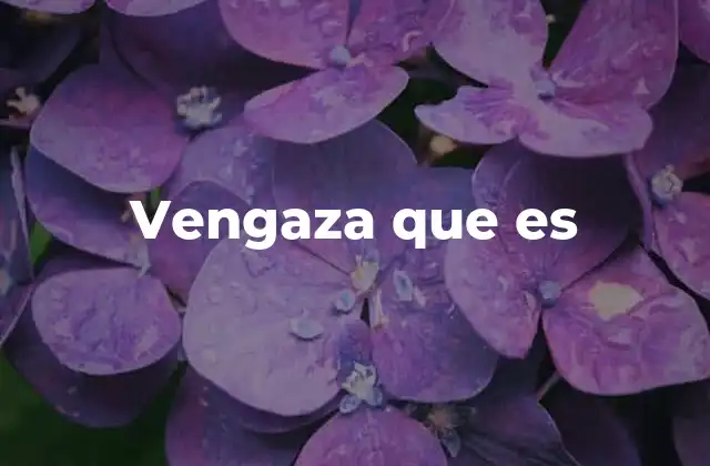 Vengaza que es