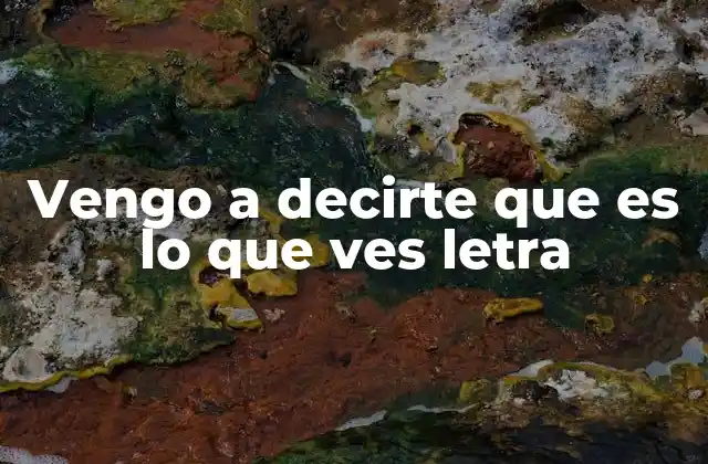 Vengo a Decirte que es Lo que Ves Letra