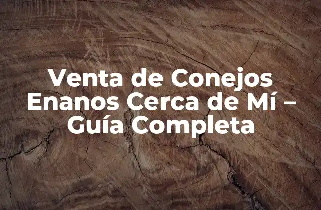 Venta de Conejos Enanos Cerca de Mí – Guía Completa