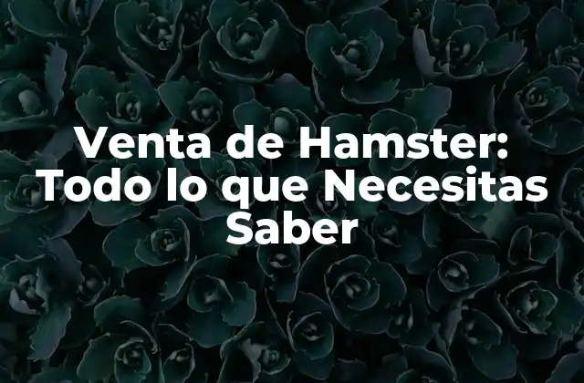 ¿Cuáles son los Tipos de Hamster más Comunes?