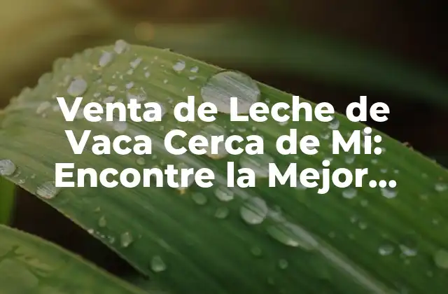 Venta de Leche de Vaca Cerca de Mi: Encontre la Mejor Opción para Su Familia