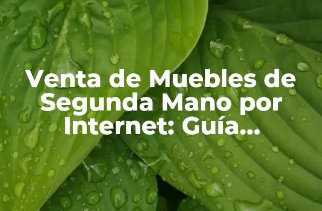 Venta de Muebles de Segunda Mano por Internet: Guía Completa