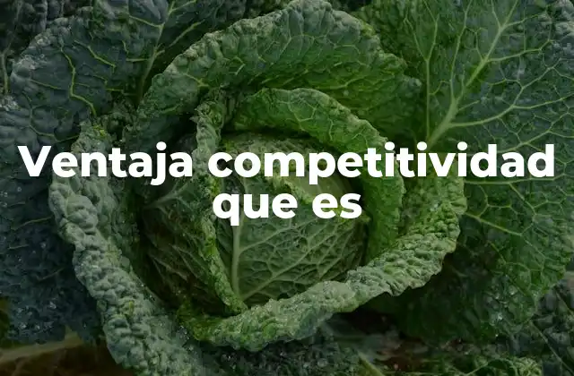 Ventaja Competitividad que es