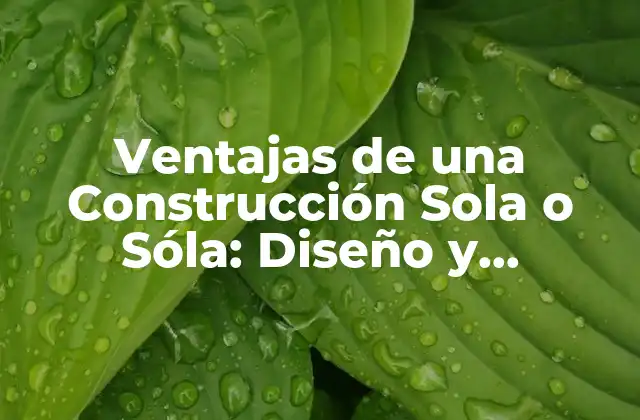 Ventajas de una Construcción Sola o Sóla: Diseño y Beneficios