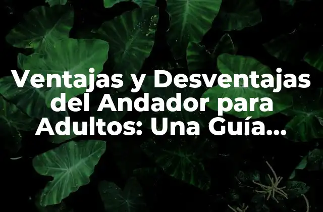 Ventajas y Desventajas Del Andador para Adultos: una Guía Completa