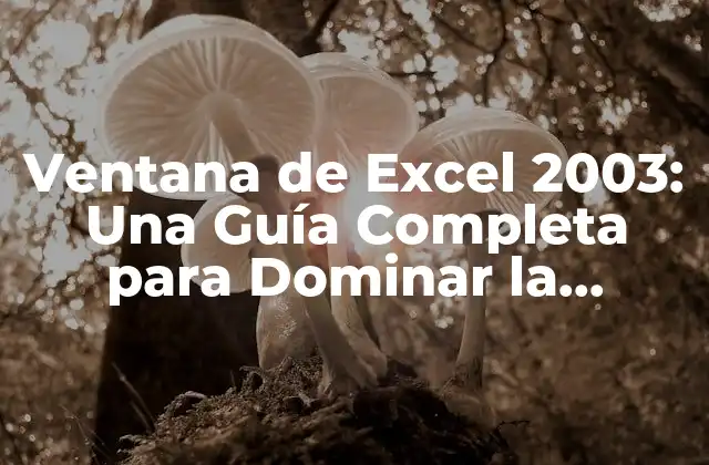 Ventana de Excel 2003: una Guía Completa para Dominar la Interfaz