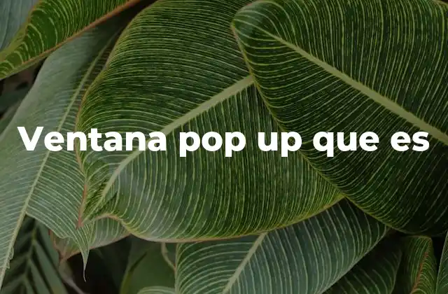 Ventana Pop Up que es