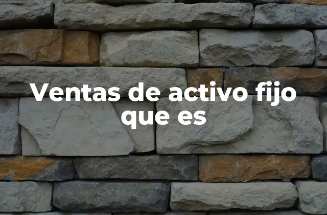 Ventas de Activo Fijo que es