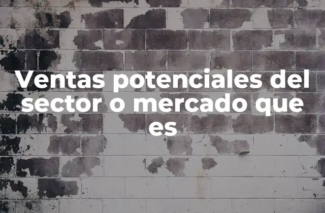Ventas Potenciales Del Sector o Mercado que es