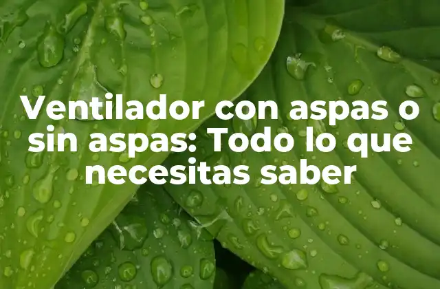 Ventilador con Aspas o sin Aspas: Todo Lo que Necesitas Saber