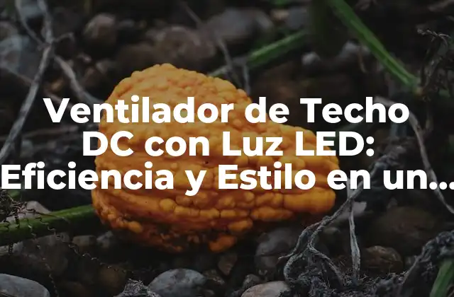 Ventilador de Techo Dc con Luz Led: Eficiencia y Estilo en un Solo Producto